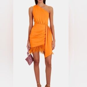 Saylor Audrie Dress Size XS